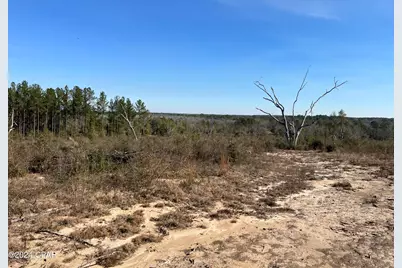 0 James Luther Street, Ponce de Leon, FL 32455 - Photo 3