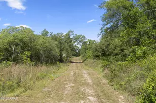 21835 Lake McKenzie Blvd, Altha, FL 32421 - Photo 25