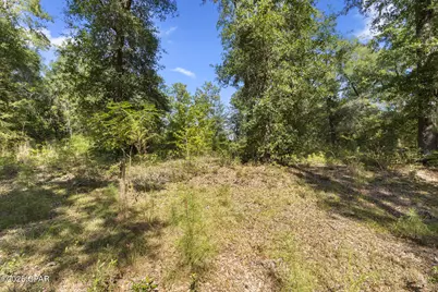 3126 Magnolia Drive, Chipley, FL 32428 - Photo 3