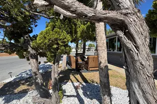 001 Dolphin Ln, Panama City Beach, FL 32408 - Photo 35