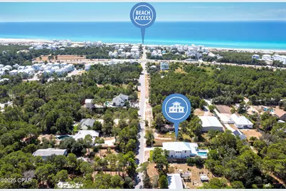 253 N Walton Lakeshore Drive, Inlet Beach, FL 32461 - Photo 3