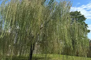 1307 New Jersey Ave, Lynn Haven, FL 32444 - Photo 9