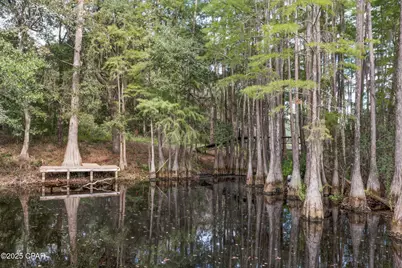 2730 Mosquito Road, Chipley, FL 32428 - Photo 49