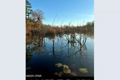 2730 Mosquito Road, Chipley, FL 32428 - Photo 79