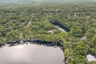 2730 Mosquito Rd, Chipley, FL 32428 - Photo 59