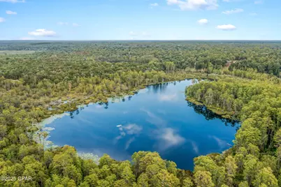 2730 Mosquito Road, Chipley, FL 32428 - Photo 69