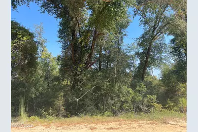 00 Union Drive, Alford, FL 32420 - Photo 3