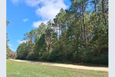 Lot 37 Alder Lane, Westville, FL 32464 - Photo 5