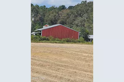2020 N 81 Highway, Westville, FL 32464 - Photo 5