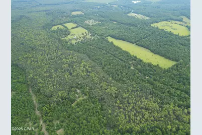 0 Non Road Access Road, Marianna, FL 32448 - Photo 9