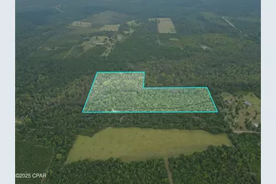 0 Non Road Access Road, Marianna, FL 32448 - Photo 3