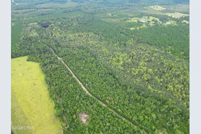 0 Non Road Access Road, Marianna, FL 32448 - Photo 5