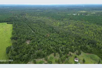 0 Non Road Access Road, Marianna, FL 32448 - Photo 7