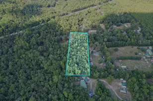 16069 Bob Ellis Rd Rd, Tallahassee, FL 32310 - Photo 37