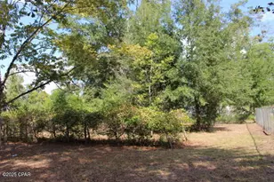 15003 SE Bass Dr, Blountstown, FL 32424 - Photo 49