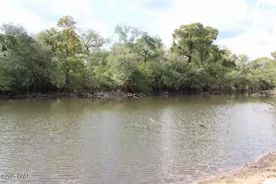 15003 SE Bass Dr, Blountstown, FL 32424 - Photo 9