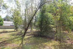 15003 SE Bass Dr, Blountstown, FL 32424 - Photo 67