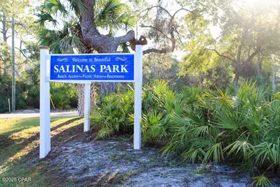 179 Las Brisas Lane #lot 15, Port Saint Joe, FL 32456 - Photo 19