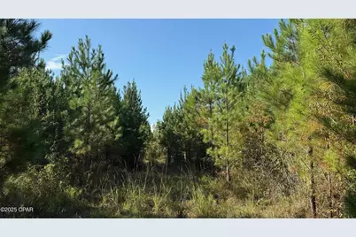 0 Hwy 2, Graceville, FL 32440 - Photo 3