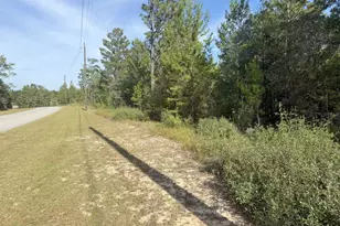 Xxx Shenandoah Blvd, Chipley, FL 32428 - Photo 1