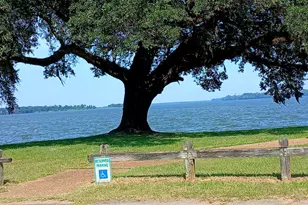 2080 Gorrie Ave, Sneads, FL 32460 - Photo 43