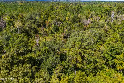 Tbd2 Syracuse Lane, Marianna, FL 32446 - Photo 55