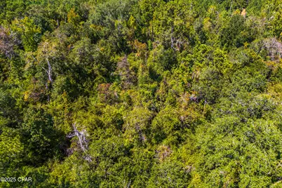 Tbd2 Syracuse Lane, Marianna, FL 32446 - Photo 23