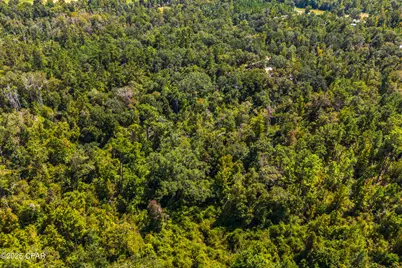 Tbd2 Syracuse Lane, Marianna, FL 32446 - Photo 13