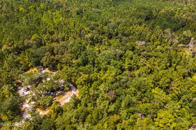 Tbd2 Syracuse Lane, Marianna, FL 32446 - Photo 5