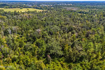 Tbd2 Syracuse Lane, Marianna, FL 32446 - Photo 39