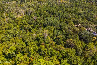 Tbd2 Syracuse Lane, Marianna, FL 32446 - Photo 47