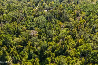 Tbd2 Syracuse Lane, Marianna, FL 32446 - Photo 37