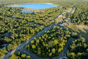 Xxxxxx Shenandoah, Chipley, FL 32428 - Photo 1