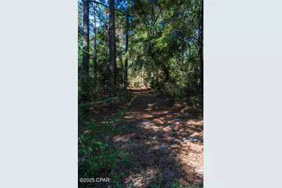 4507 Rainbird Rise Road, Crestview, FL 32539 - Photo 17