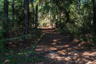 4507 Rainbird Rise Rd, Crestview, FL 32539 - Photo 17