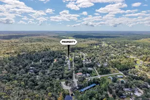 176 Quail Ave, Wewahitchka, FL 32465 - Photo 21