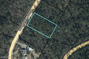 0 Monogahela Ave, Alford, FL 32420 - Photo 1