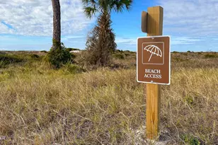 278 Sea Tern Ln, Port Saint Joe, FL 32456 - Photo 43