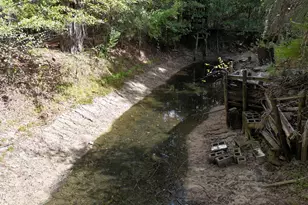 1487 Hwy 79, Bonifay, FL 32425 - Photo 39