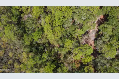 2724 Muir Lane, Bonifay, FL 32425 - Photo 5