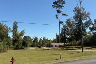 3308 Parkridge Rd, Marianna, FL 32446 - Photo 97