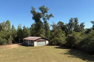 3308 Parkridge Rd, Marianna, FL 32446 - Photo 71
