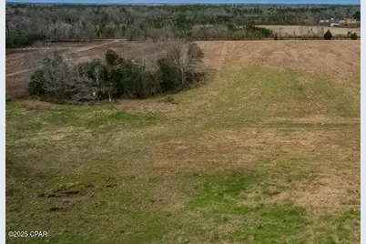 Tbd Hwy 90, Cottondale, FL 32431 - Photo 3