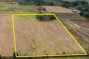 Tbd Hwy 90, Cottondale, FL 32431 - Photo 1