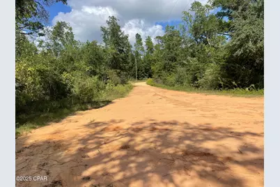 2355 Momence Court, Alford, FL 32420 - Photo 41