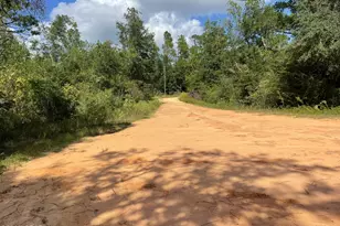 2355 Momence Ct, Alford, FL 32420 - Photo 41