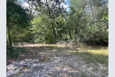 2355 Momence Court, Alford, FL 32420 - Photo 31