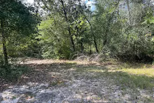 2355 Momence Ct, Alford, FL 32420 - Photo 31