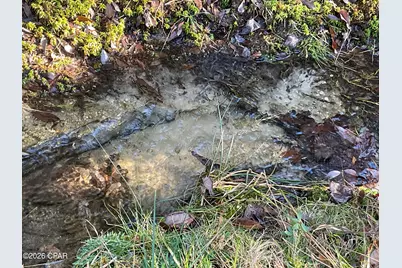 2355 Momence Court, Alford, FL 32420 - Photo 39