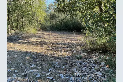 2355 Momence Court, Alford, FL 32420 - Photo 37